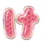 009