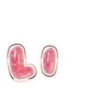 048