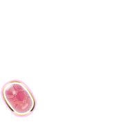 256