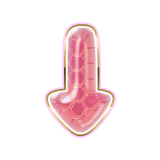 261
