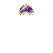 070