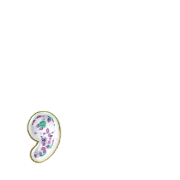 084