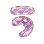 003