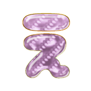 004