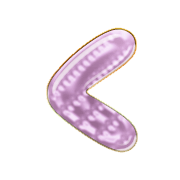 008