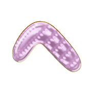 029