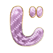 062