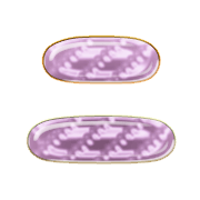 102