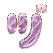 148