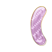 234