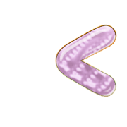 248