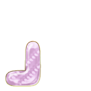255