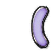 234