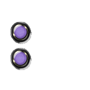 244