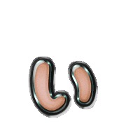 048