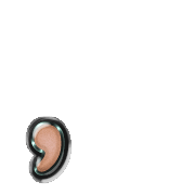 245