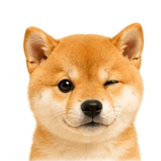 007