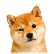 021