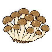 018