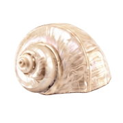 036