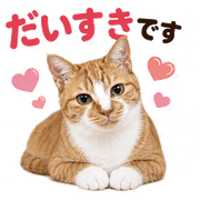 033