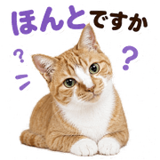 035