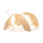009