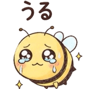 006