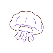 005