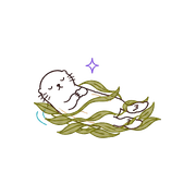 036