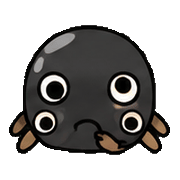 016