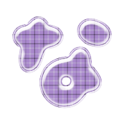 021