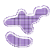 061