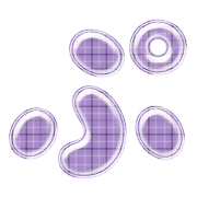 078