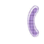234