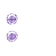 244