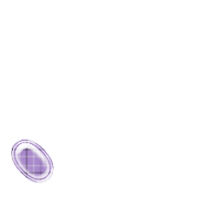 256