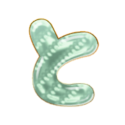 020