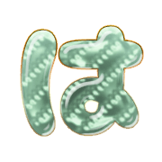 026