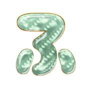028