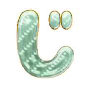 062