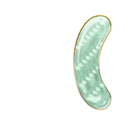 234