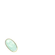 256