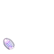 256