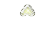 231