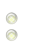 244