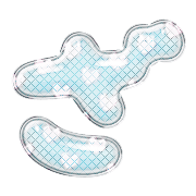 061