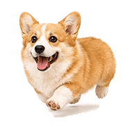 010