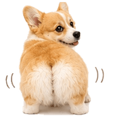 032