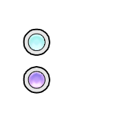 244